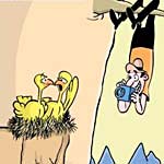 Click to open Photographing birds pic