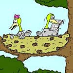 Click to open Spying pic