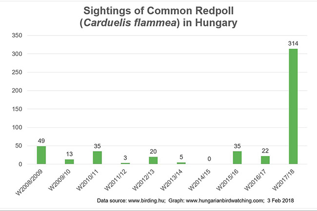 Common Redpoll Sightings pic