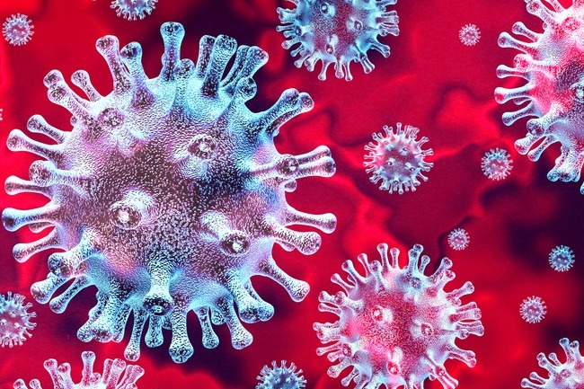 Travel restrictions to Hungary because of the coronavirus pandemic coronavirus pic