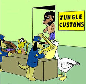 Customs pic